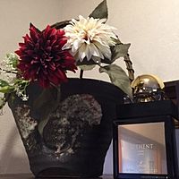 Show profile photo