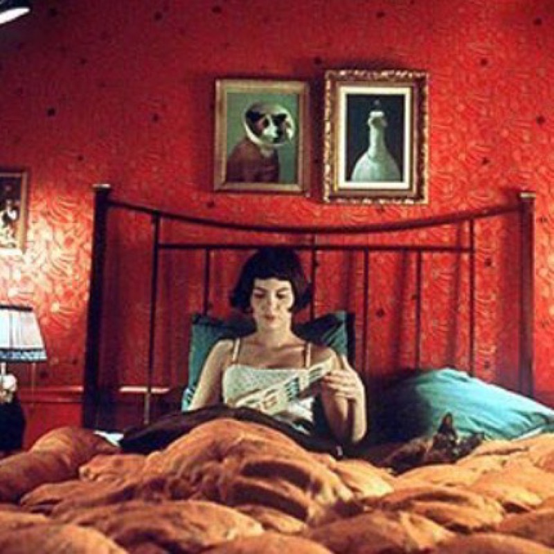 𝒚𝒖𝒓𝒊𝒌𝒂.