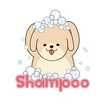 Show profile photo