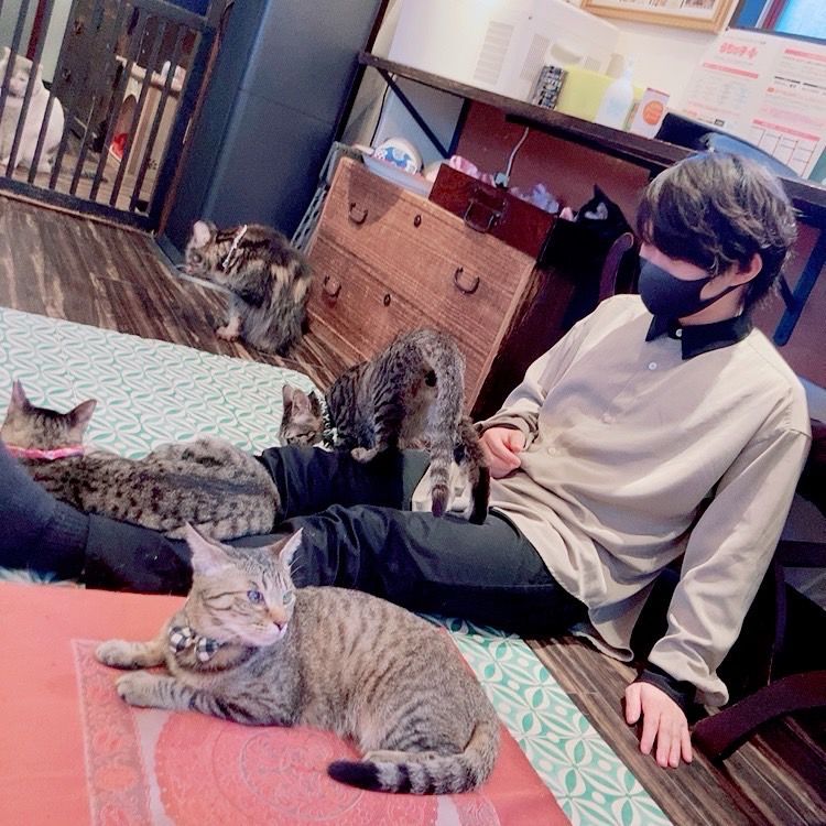 ゆうき@シーシャ好き