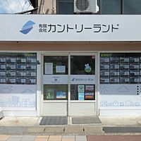 Show profile photo