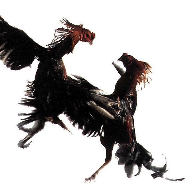 An Image