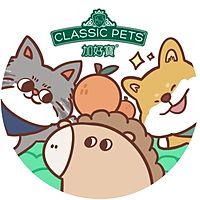 Show profile photo