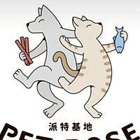 Show profile photo
