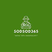 sodsod365