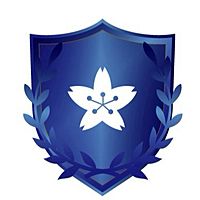 Show profile photo