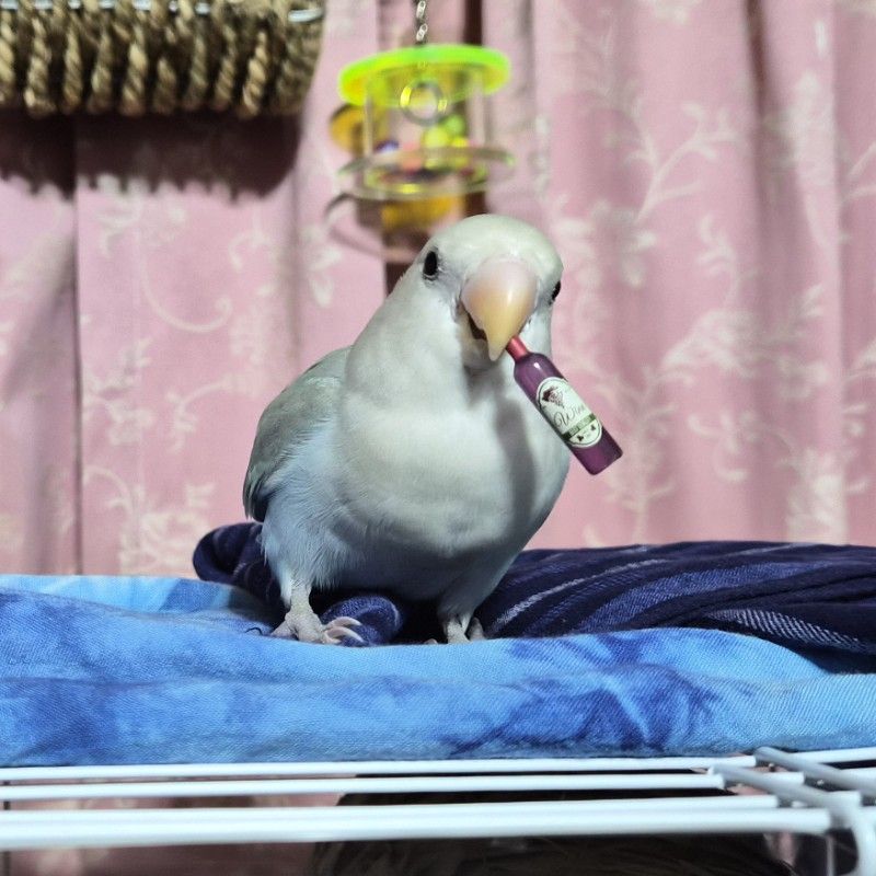 ปลายฟ้า