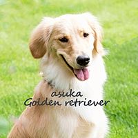 中央動物専門学校
