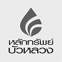 Show profile photo