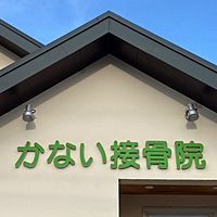 Show profile photo