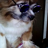 Show profile photo