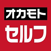Show profile photo