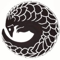Show profile photo