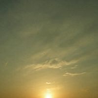 Show profile photo