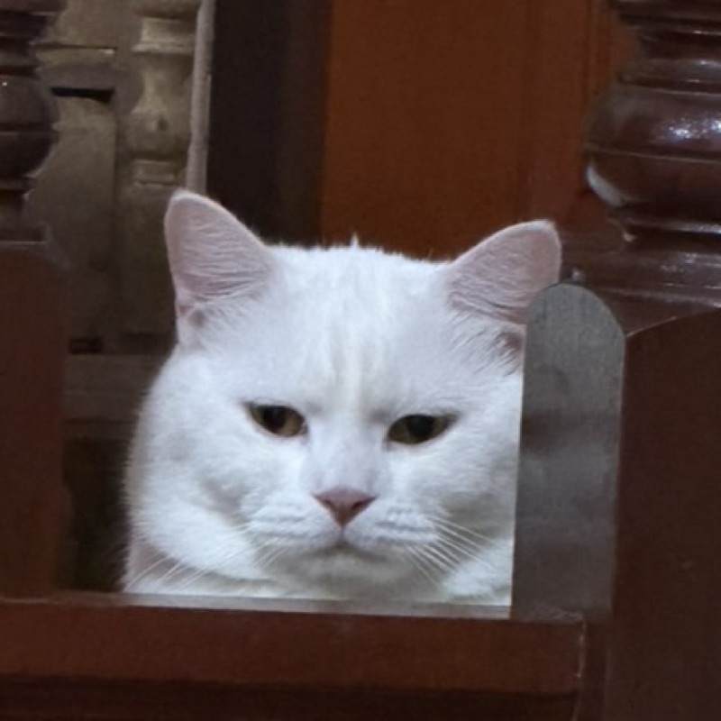 แก่น