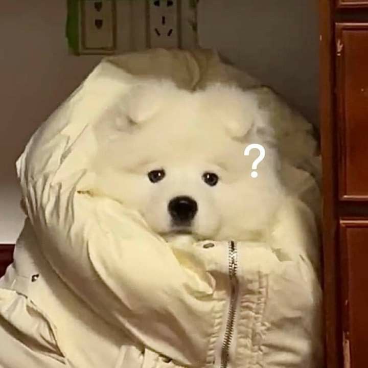 แพรวพราว