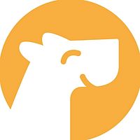 Show profile photo
