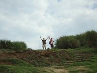 Jimmy  Yang的頭像