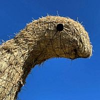 Show profile photo