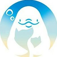 Show profile photo