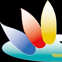 Show profile photo