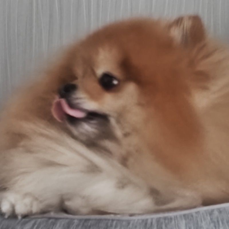 Ta_e。