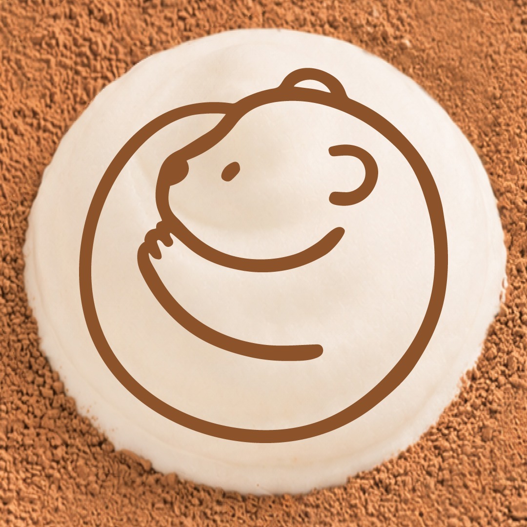BEARHOUSE icon