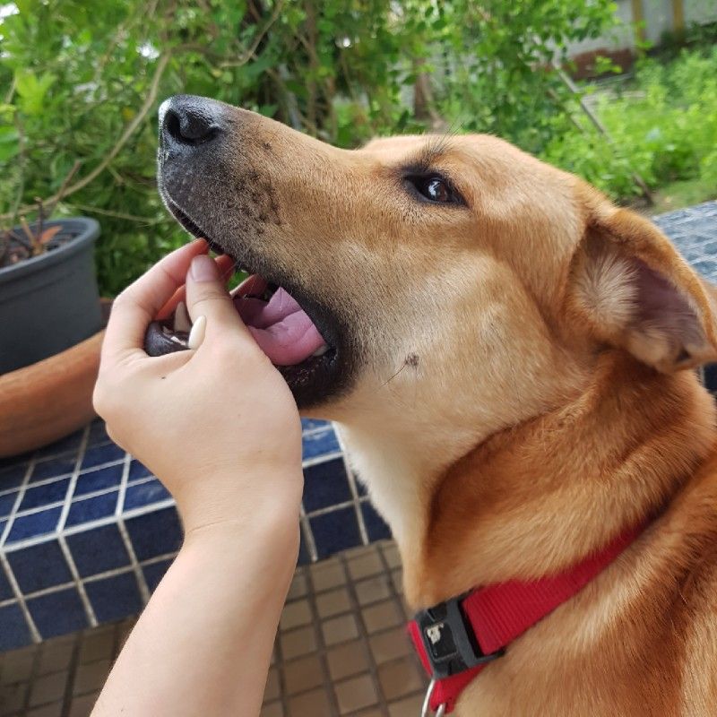 อร