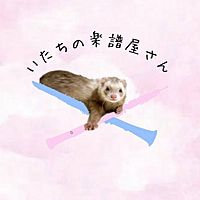 Show profile photo