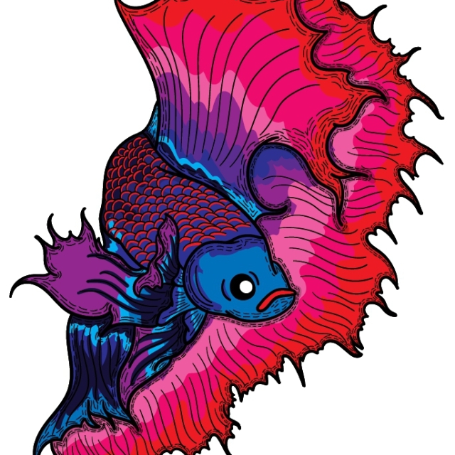 An Image