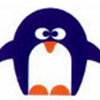 Show profile photo