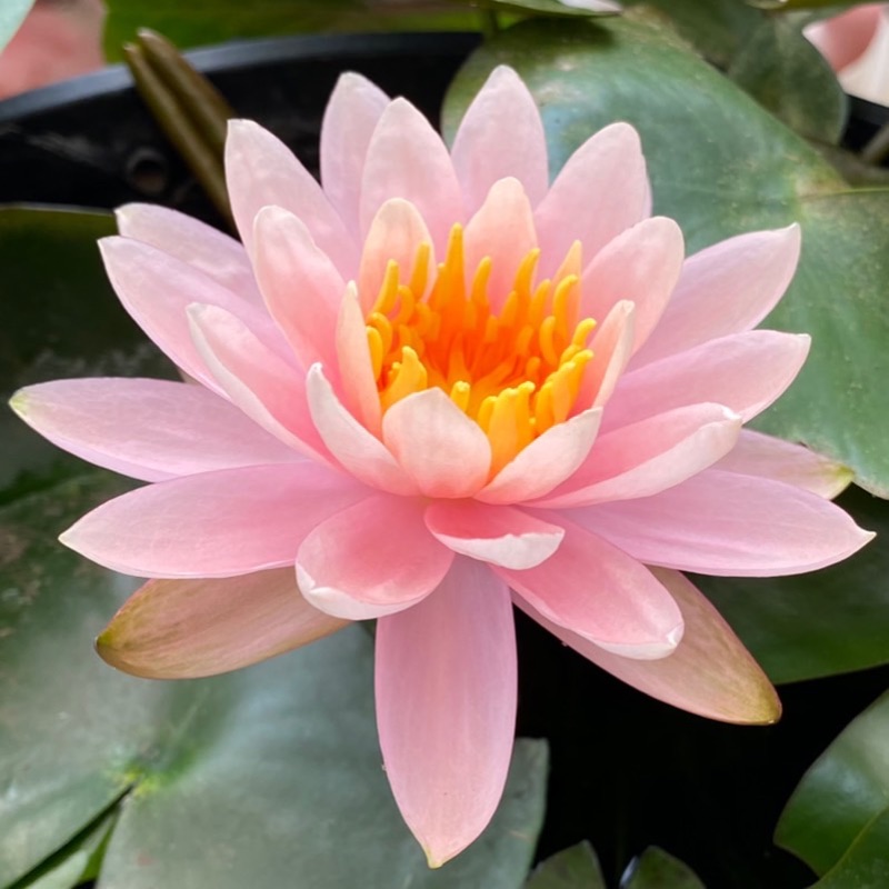 Jonathan 徐景行的頭像