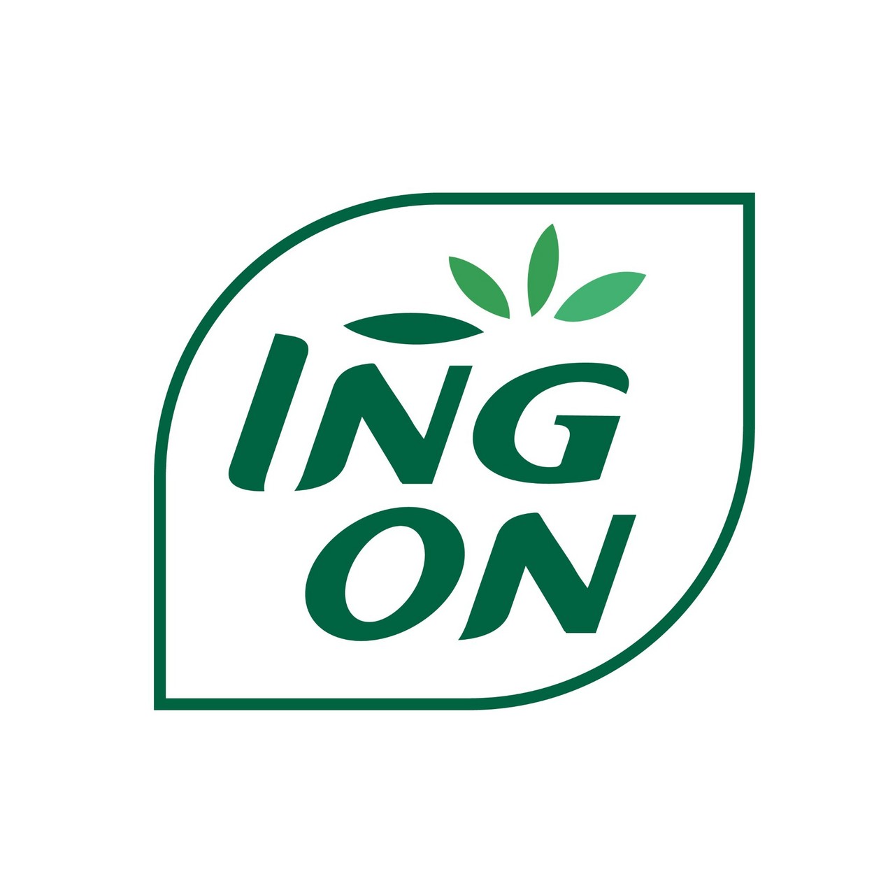An Image