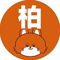 Show profile photo