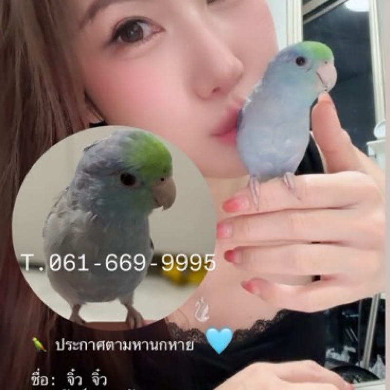 น.ส ละอองดาว สำโรงแสง