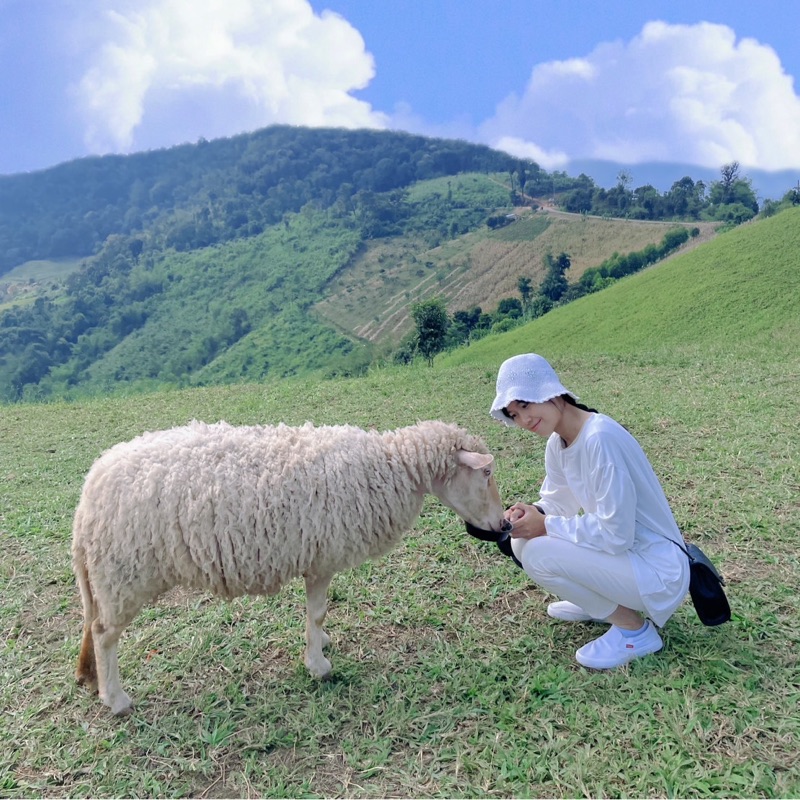 บู๋บี๋