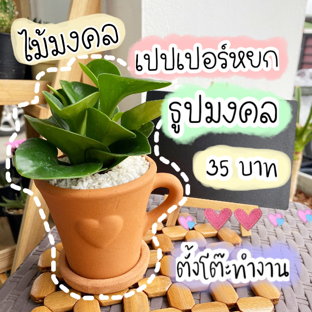 An Image