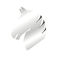 Show profile photo