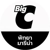 Show profile photo