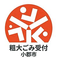 Show profile photo