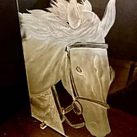 Show profile photo