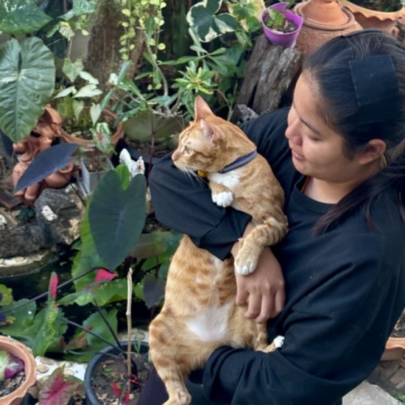 ธนวรรณ ธัญญานนท์