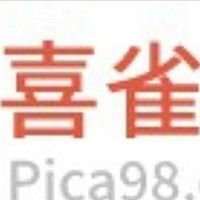 Show profile photo
