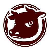 Show profile photo