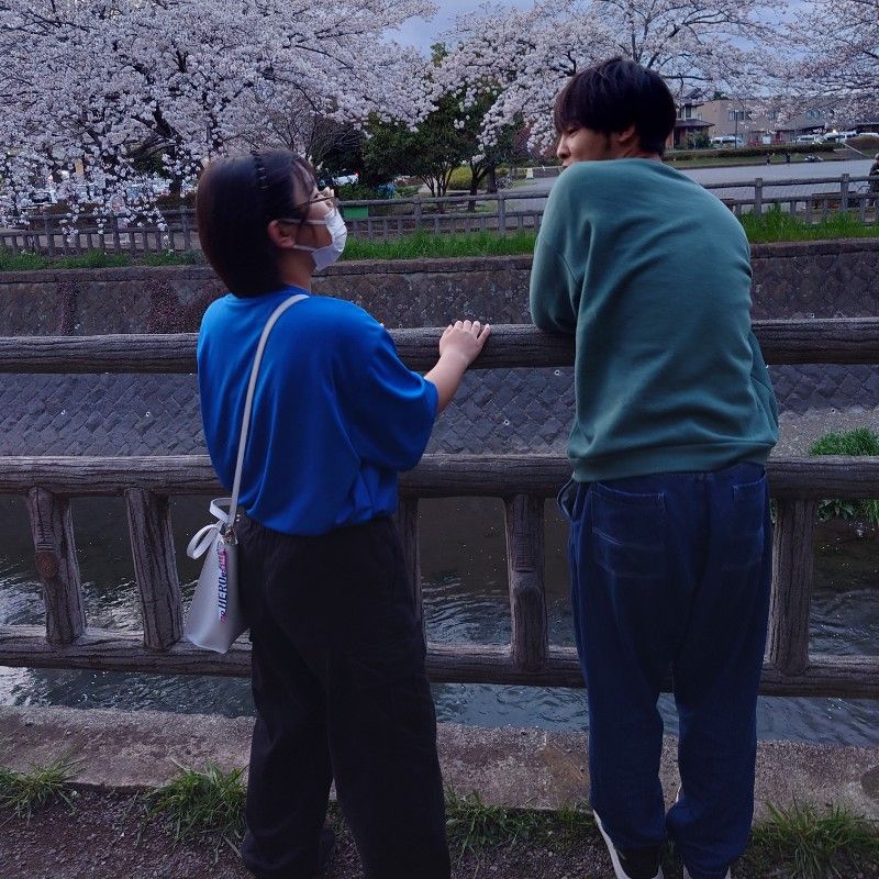 sachi