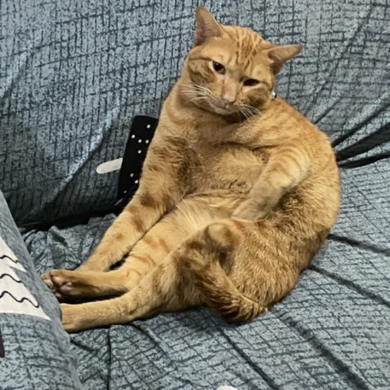 ซูม