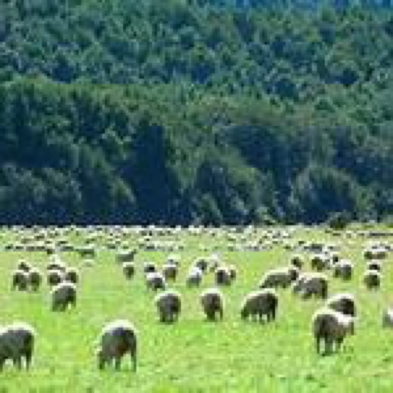 呂佳育 Grace的頭像