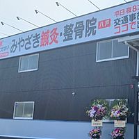 Show profile photo