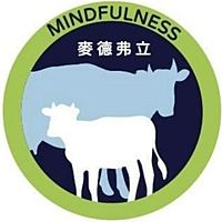Show profile photo
