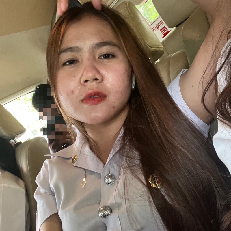 ต้นข้าว